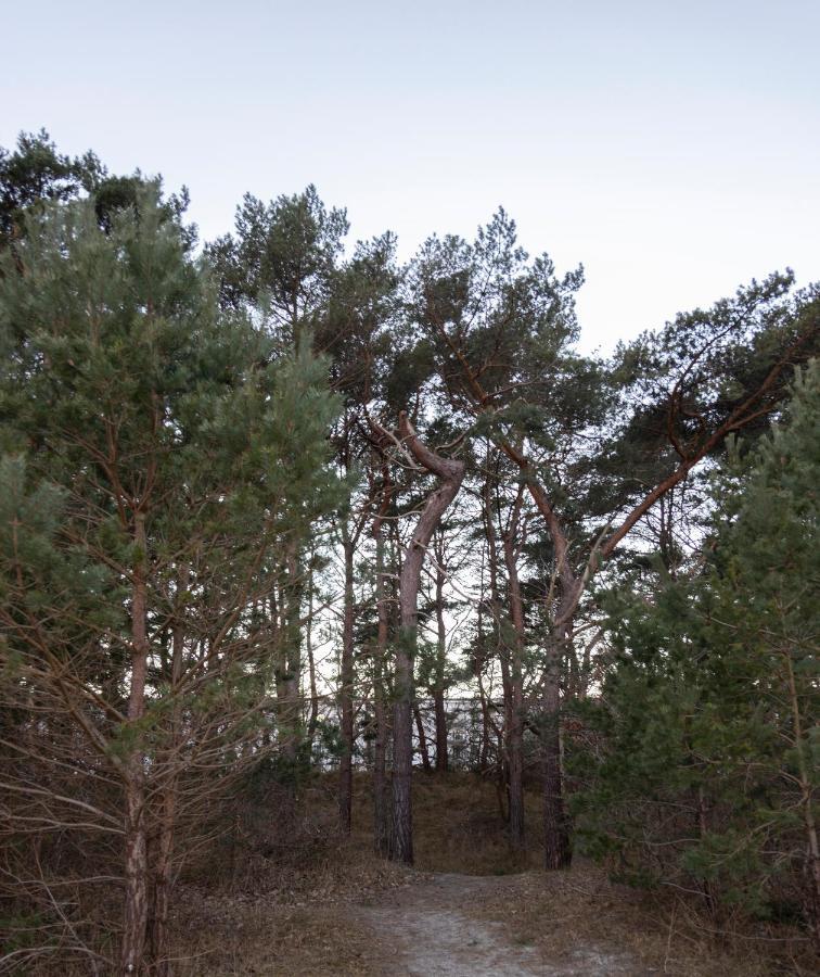 Luxus-Maisonette Fuer Die Grosse Familie Mit Direktem Strandzugang Binz Exterior foto